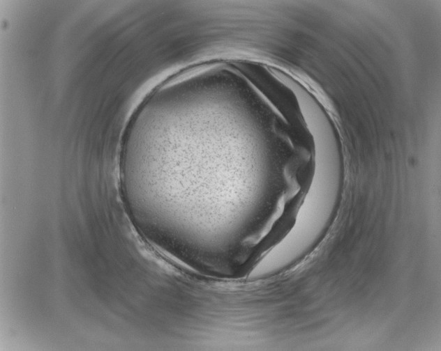 X0000081560904200701291146