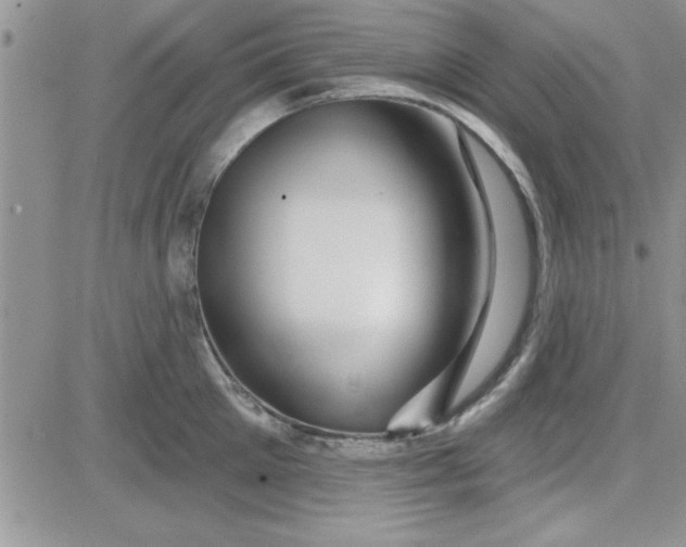 X0000081560905200701291146