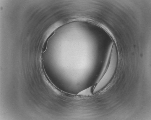 X0000081560906200701291146