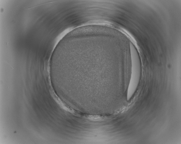 X0000081560907200701291146