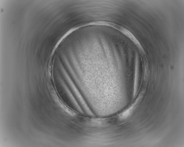 X0000081560908200701291146