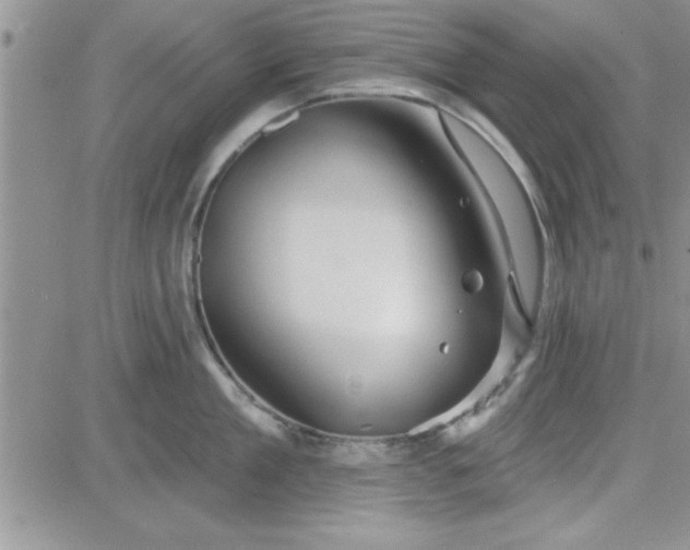 X0000081560909200701291146