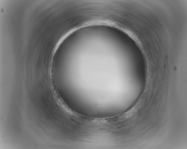 X0000081560912200701291146