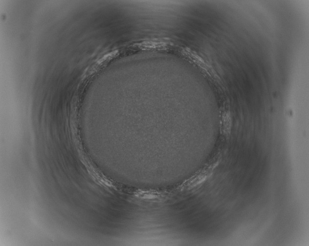 X0000081560913200701291146