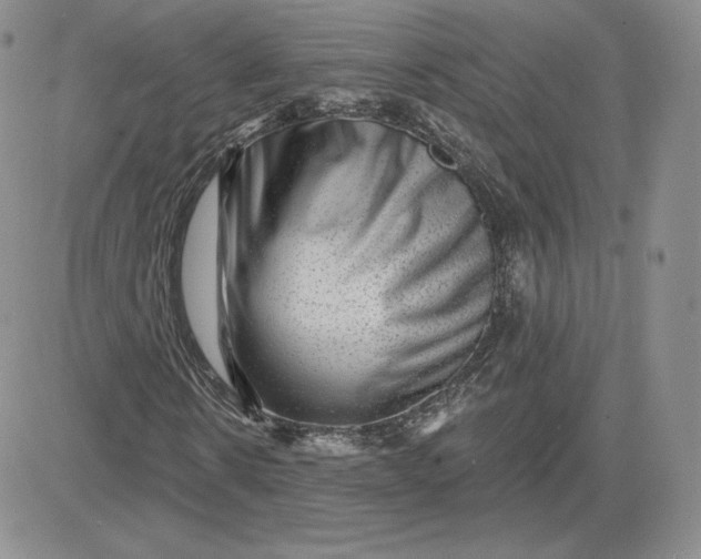 X0000081560914200701291146