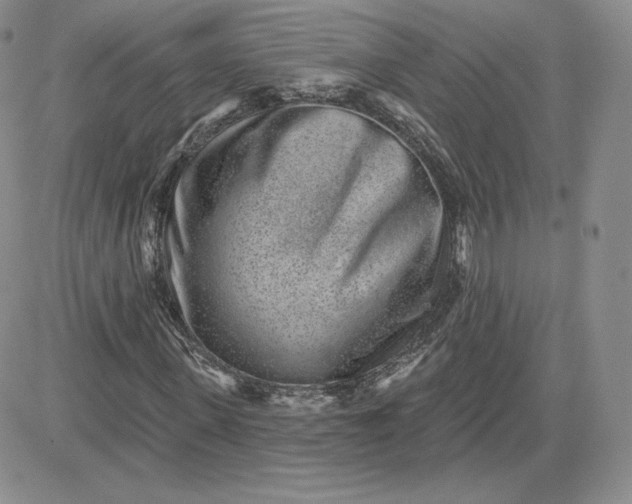 X0000081560915200701291146