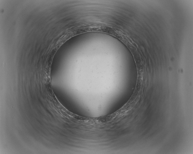 X0000081560916200701291146