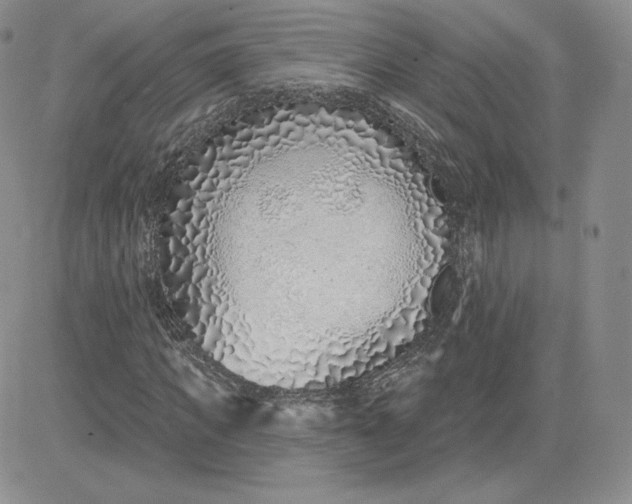 X0000081560917200701291146