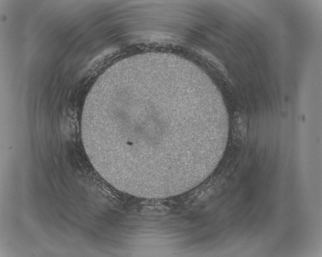 X0000081560918200701291146