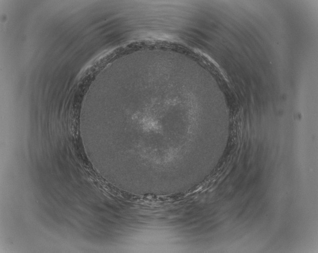 X0000081560919200701291146