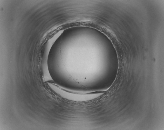 X0000081560920200701291146