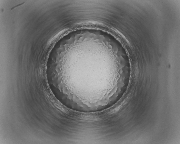 X0000081560921200701291146