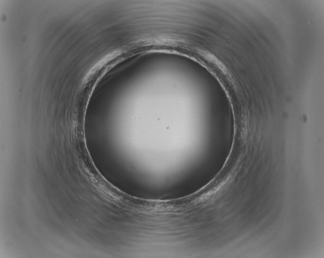 X0000081560922200701291146