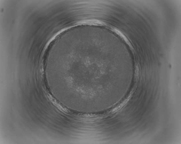 X0000081560923200701291146