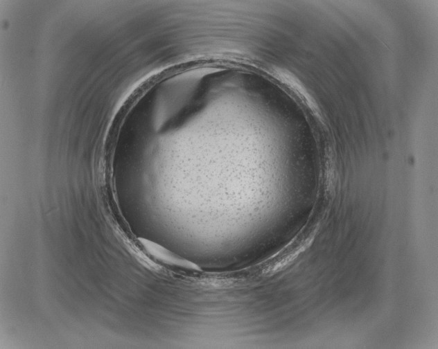 X0000081560924200701291146