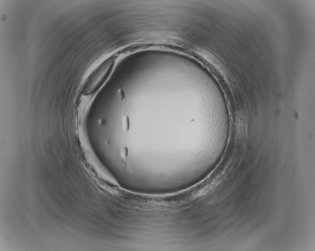 X0000081560925200701291146