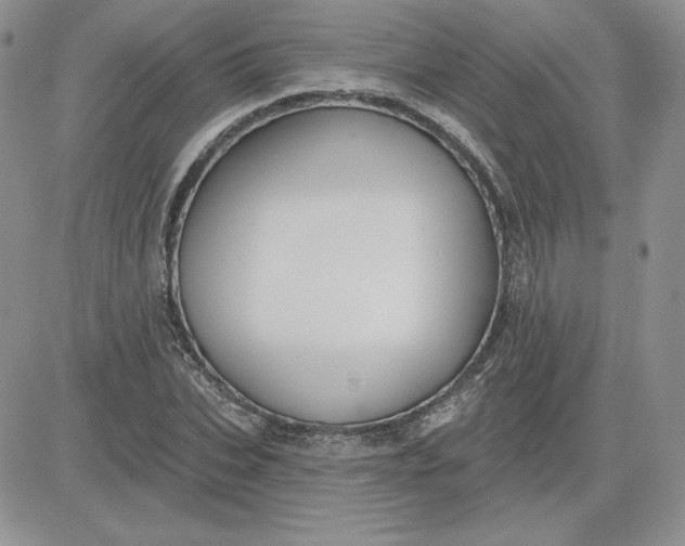 X0000081560927200701291146