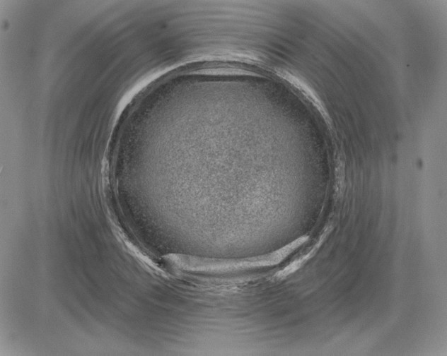 X0000081560928200701291146