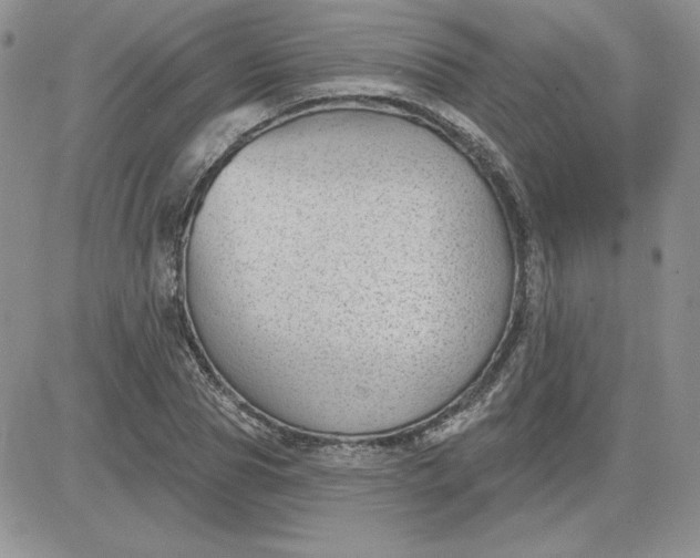 X0000081560929200701291146