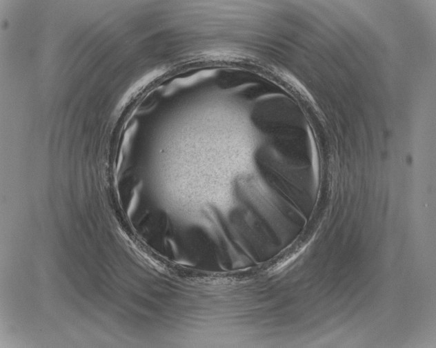 X0000081560930200701291146