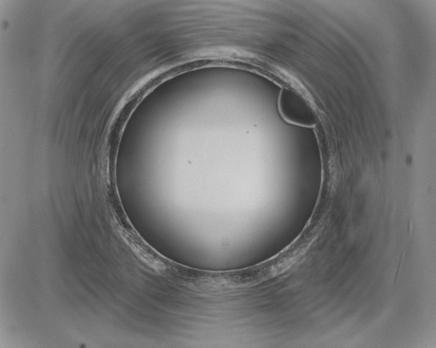 X0000081560931200701291146