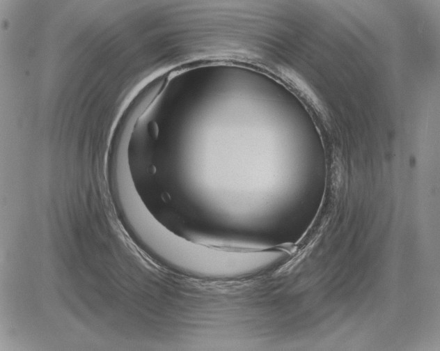 X0000081560932200701291146