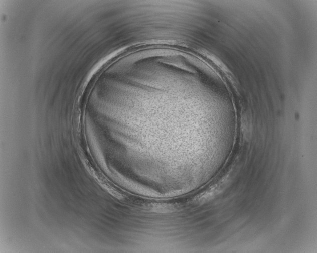 X0000081560933200701291146