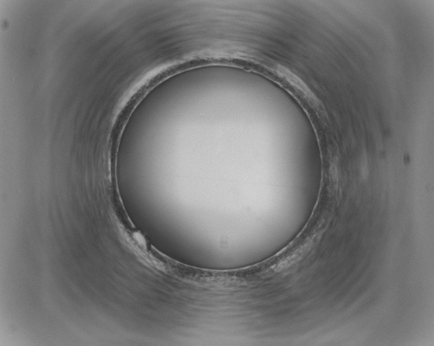 X0000081560934200701291146