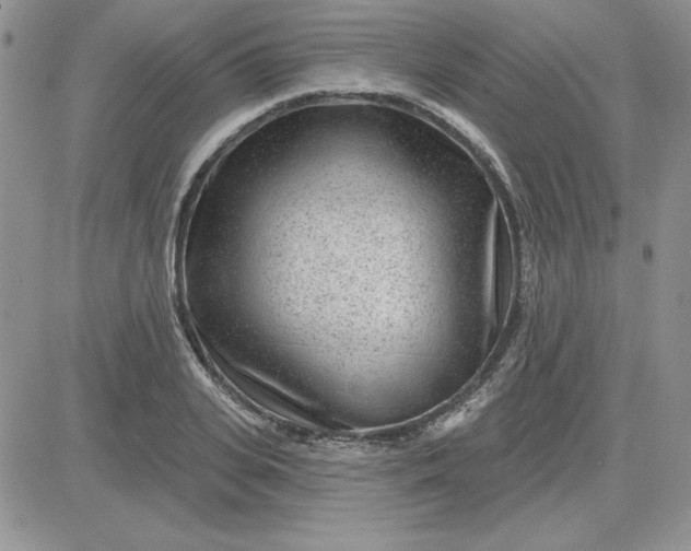 X0000081560935200701291146