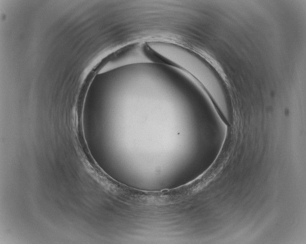 X0000081560936200701291146