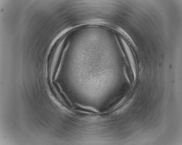 X0000081560939200701291146