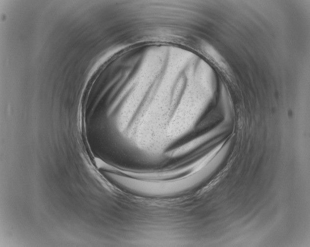 X0000081560940200701291146