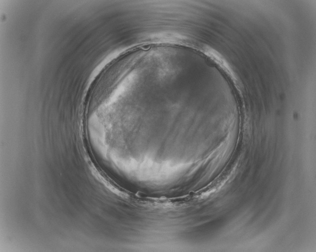 X0000081560941200701291146