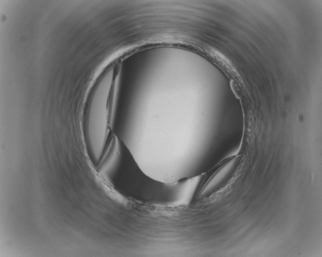 X0000081560942200701291146