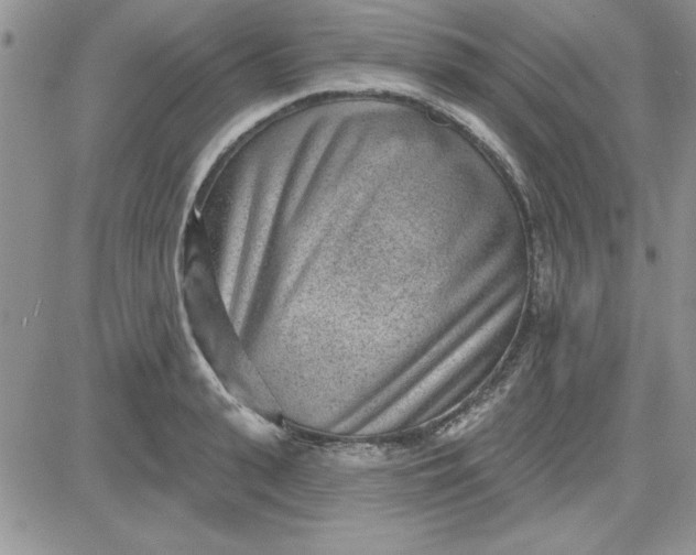 X0000081560943200701291146