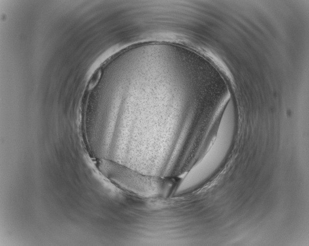 X0000081560944200701291146