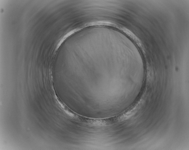 X0000081560945200701291146