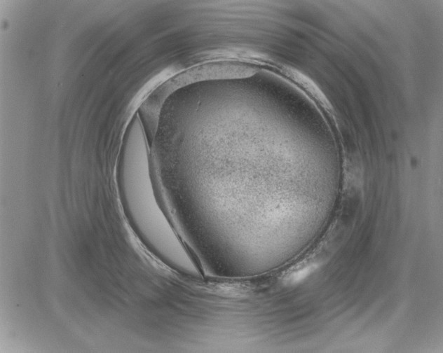 X0000081560946200701291146