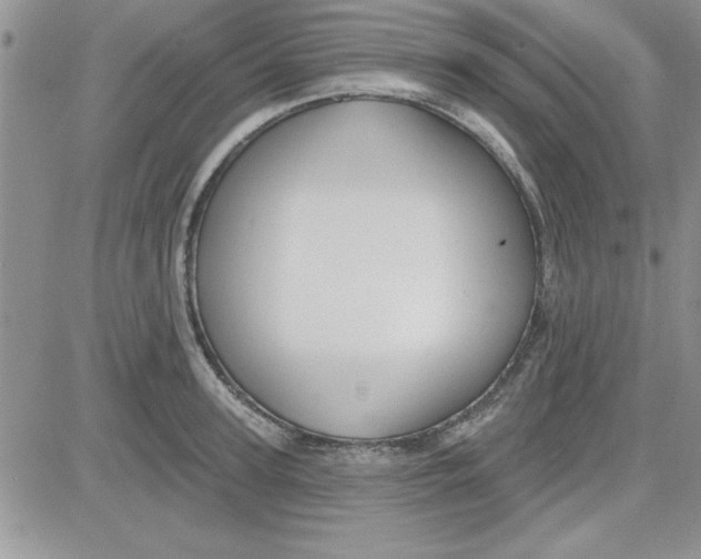 X0000081560947200701291146