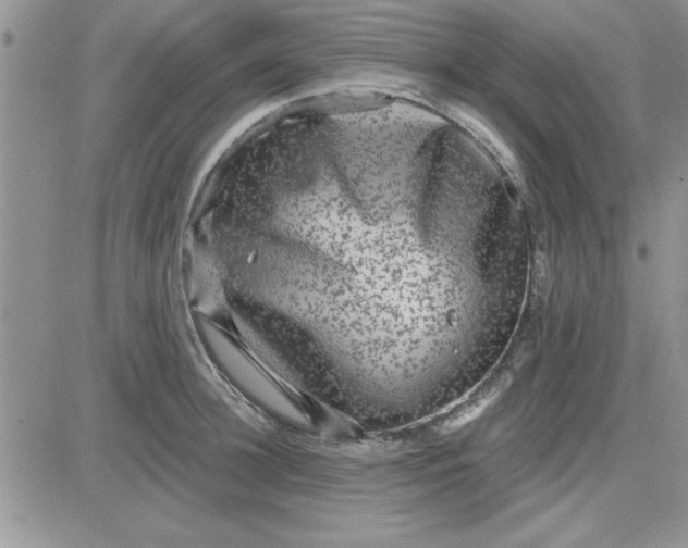 X0000081560948200701291146