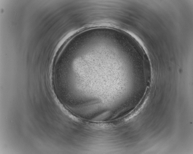 X0000081560949200701291146