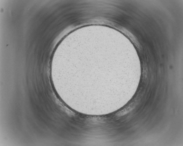 X0000081560950200701291146