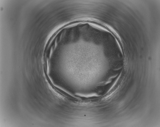 X0000081560951200701291146