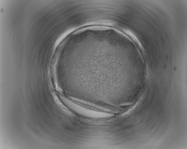 X0000081560952200701291146