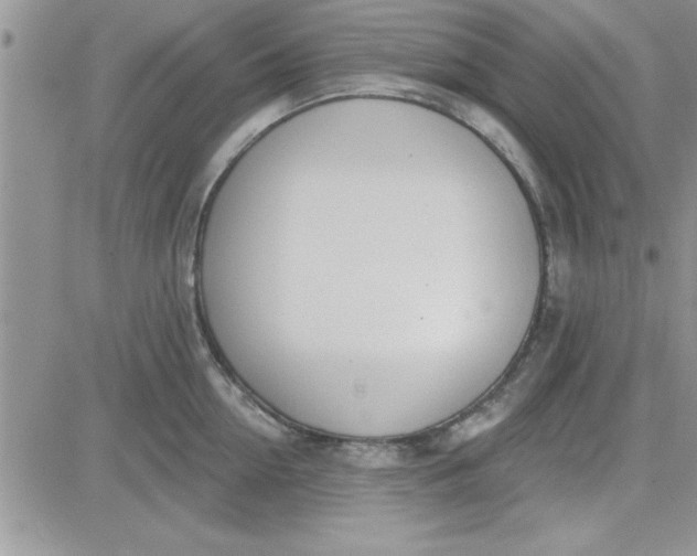 X0000081560954200701291146