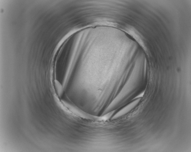 X0000081560955200701291146