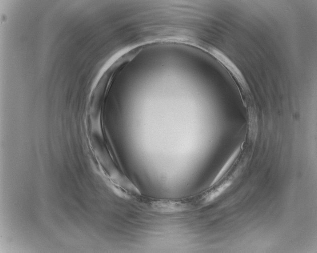 X0000081560956200701291146