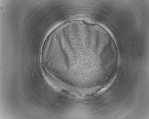 X0000081560957200701291146