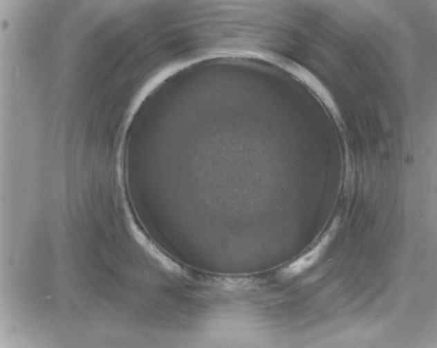 X0000081560958200701291146