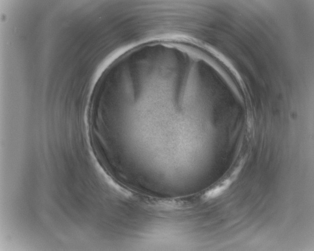 X0000081560959200701291146